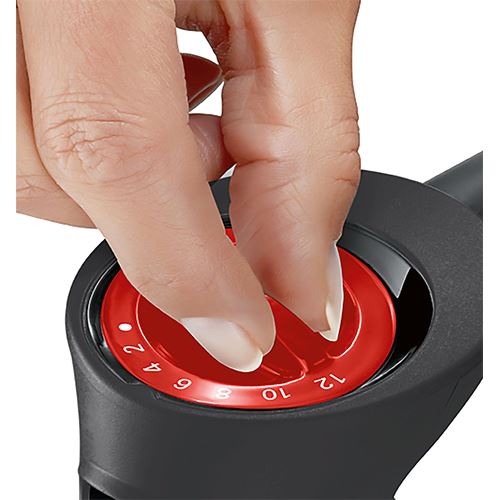 Bosch Varinha Mágica ErgoMixx MS6CB6110 — 3